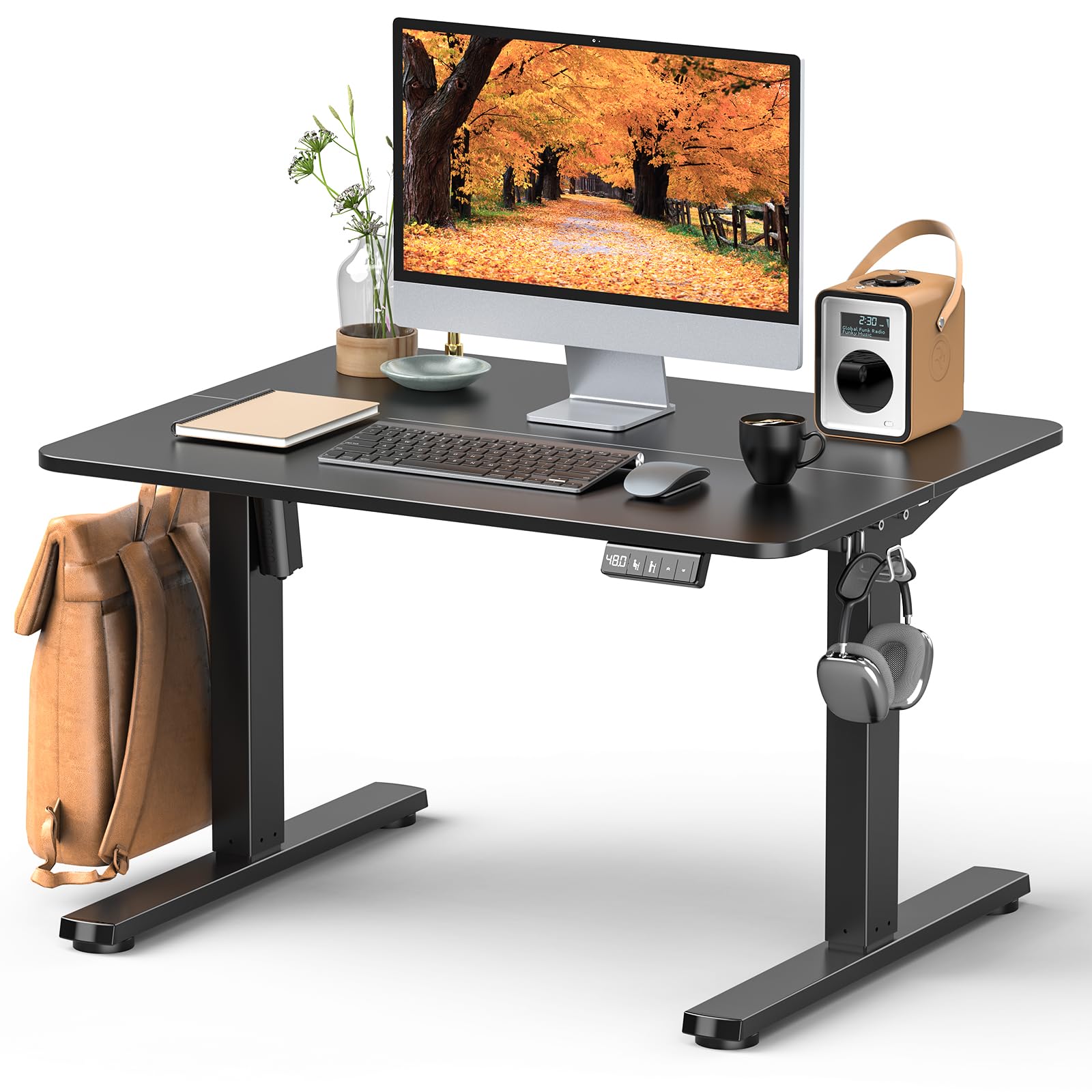 電動昇降デスク 幅80cm ロータイプ 高さ48〜75cm 自動 Amazon | Zontera 電動 昇降式ローデスク 高さ調整48-75cm ロータイプ